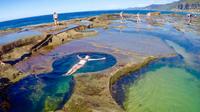 Figure 8 Pools and Royal National Park Coastal Tour from Sydney image 1 Figure 8 Pools and Royal National Park Coastal Tour from Sydney image 1