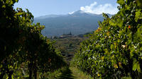 Etna and Wine Tour from Catania