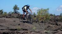 Mount Etna Mountain BikeTour