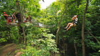 Long Point Bay Zip Line Canopy Tour 