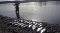 Kenai River Alaska Fishing Charter