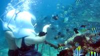 Sea Underwater Walking in Nusa Dua
