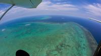 40-Minute Grande Barrière de Corail Scenic Vol de Cairns Y compris Green Island Arlington Reef et Palm Cove