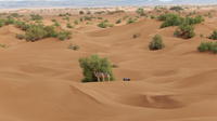 4 Day Desert and Draa Valley Day Trip From Mhamid
