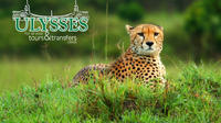 Parc national Kruger Nuit guidée Safari Tour de Johannesburg