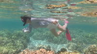 Island Safari Snorkeling by Motor Boat from Fajardo