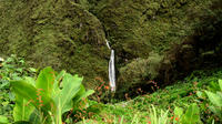 Ruines Yanacachi Cloud Forest et Inca