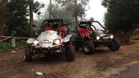 Louer un Buggie and Drive Off-Road Dans l'île de Madère