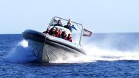 Helsinki Archipelago High-speed Boat Cruise 