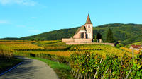 Alsace Full Day Wine Tour from Colmar