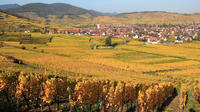 Alsace Half Day Wine Tour from Colmar