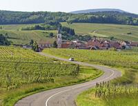 Alsace Wine Route: Half-Day Tasting Tour from Strasbourg