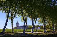 Full-Day Small-Group Medoc Wine Tour from Bordeaux