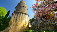 Small-Group Dordogne Day Tour from Sarlat