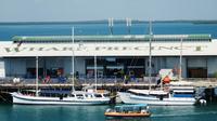 Darwin Harbour World War II Bomb Sites Cruise