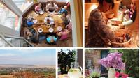 Day with A Local: Full-Day Cultural Family Experience including 4-Course Dinner