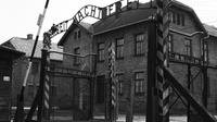 Auschwitz-Birkenau Tour from Krakow