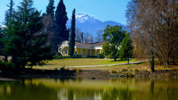 Half Day Maipo Valley Concha y Toro Vineyard