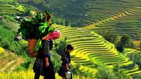 2-Night Sapa Tour from Hanoi