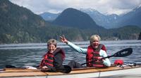 Vancouver Kayak and Beach BBQ