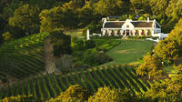 Private Constantia Wine Tour from Cape Town
