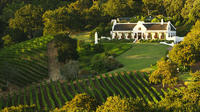 Private Half Day Wine Tour from Cape Town