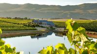 Private Wine Tour in the Hemel-en-Aarde Wine Region from Stellenbosch