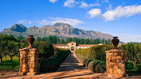 Private Wine Tour of Stellenbosch from Cape Town 