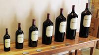 Red Wine Lovers Private Tour from Stellenbosch