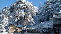 Shimla- Kullu- Manali Visite Ex Delhi