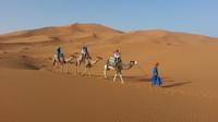 Overnight Small-Group Desert Tour from Fez with Camel Ride and Desert Camp