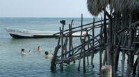 Private Appleton Estate Rum and Pelican Bar Tour from Montego Bay