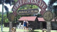Private Appleton Estate Rum Tour from Montego Bay