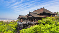 Excursion d'une journée à Kyoto Osaka