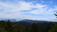 Mount Tamalpais Views and Redwoods Hike