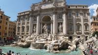 Private Guided Walking Tour of Rome 
