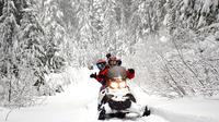 Whistler Backcountry Motoneige Family Tour