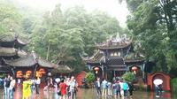 Private Day Trip to Dujiangyan Irrigation System and Qingcheng Mountain from Chengdu