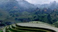 Private Tour of Dragon's Backbone Rice Terraces in Longsheng