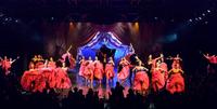 Lido de Paris Dinner Show with Champagne and Hotel Transfer