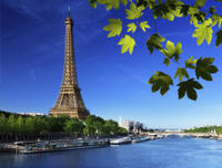 Paris City Tour with Seine River Cruise and Eiffel Tower Lunch