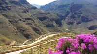Half-Day Swartberg Pass Tour from Oudtshoorn