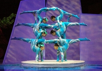 Excursion en soirée «Acrobates chinois et Shanghai»