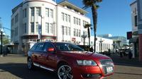 Private Shore Excursion: Napier Sightseeing Tour