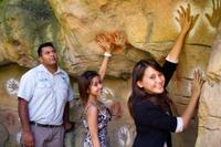 Small-Group Nura Diya Aboriginal Discovery Tour at Taronga Zoo