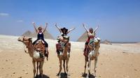 Full-Day Cairo Tour of Giza, Step and Red Pyramid