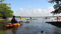 Happy Hour Kayak Tours in Sarasota