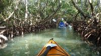 Mangrove Tunnel Eco Kayak Tour