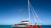 Grande barrière de corail : croisière avec plongée libre et sous-marine, au départ de Cairns dans un luxueux catamaran Grande barrière de corail : croisière avec plongée libre et sous-marine, au départ de Cairns dans un luxueux catamaran