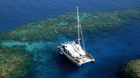 Great Barrier Reef Snorkel and Dive Cruise from Cairns by Luxury Catamaran